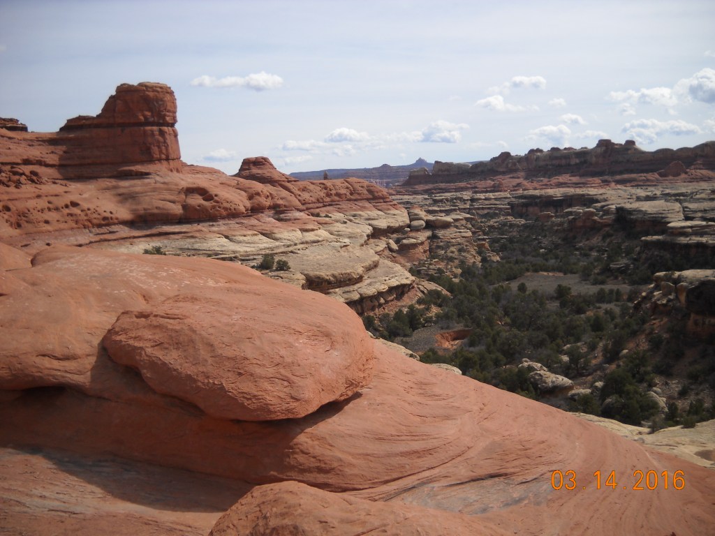 @Kristi Brister National Park 2016