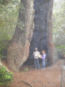 Jr Rangers in the Cave of Redwood
